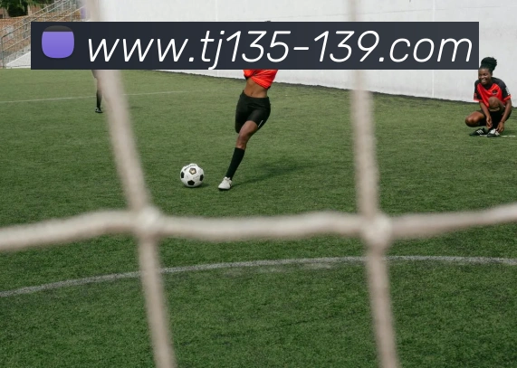 云开在线登录服务体系